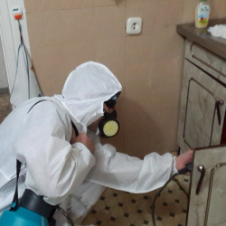 Дезинфекция от муравьев в квартире в Можайском районе Москвы