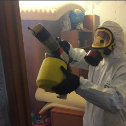 Уничтожение клопов в квартире. Можайский район 